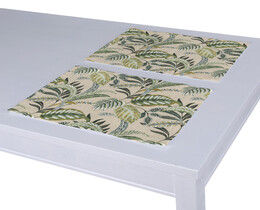 Set van 2 placemats
