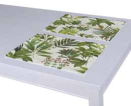 Set van 2 placemats