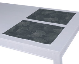 Set van 2 placemats