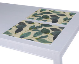 Set van 2 placemats