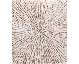 Dywan Softness crème/bruin 200x290cm