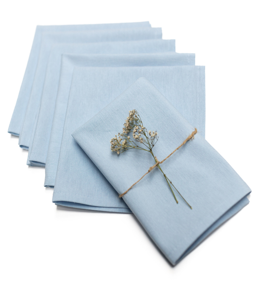 Set napkins 6 pcs 42x42cm Loneta 133-35