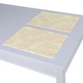 Set of 2 Placemats