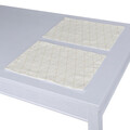 Set of 2 Placemats
